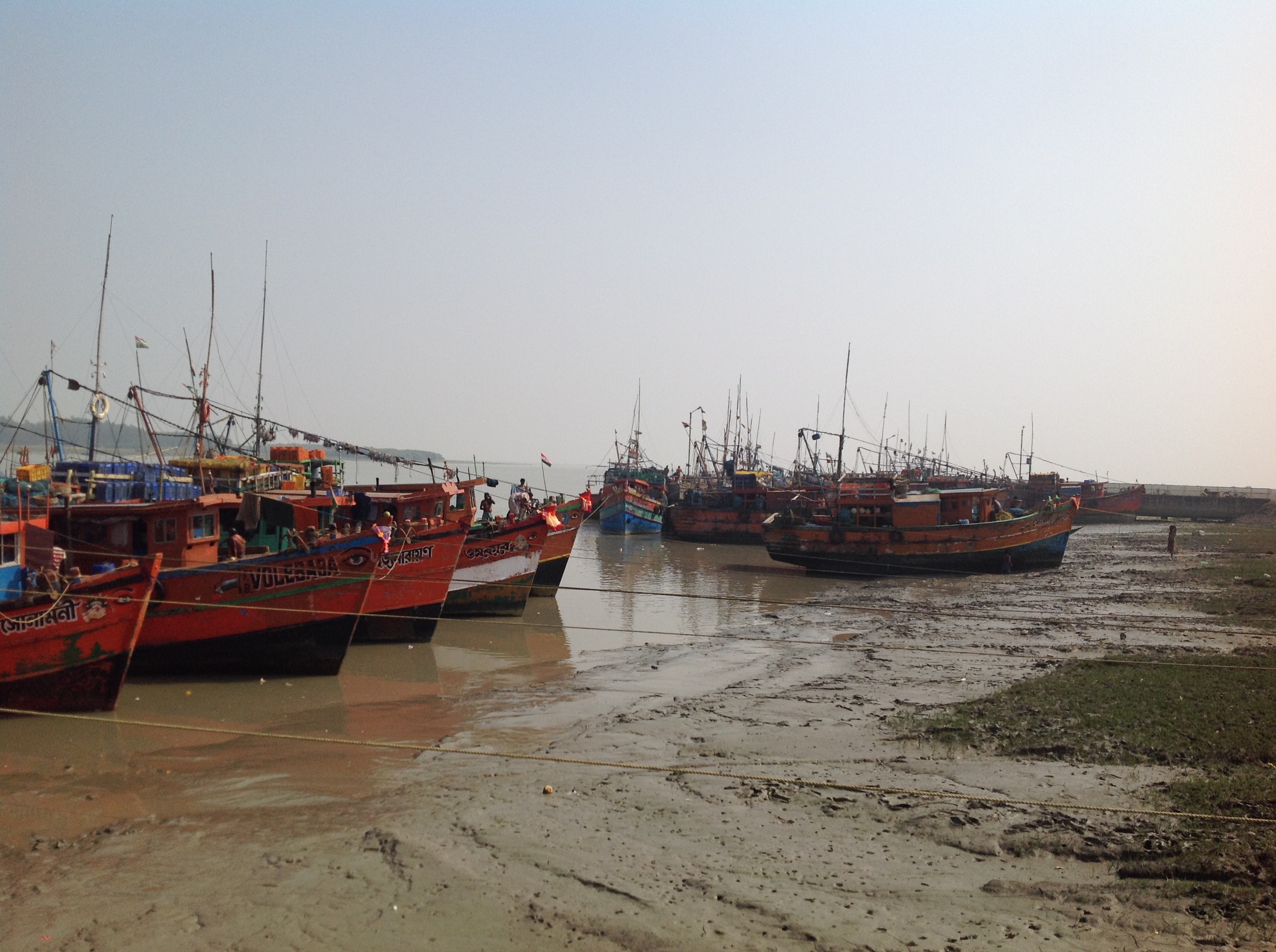 Deshpran Fishing Harbour, Petuaghat, Purba Medinipur