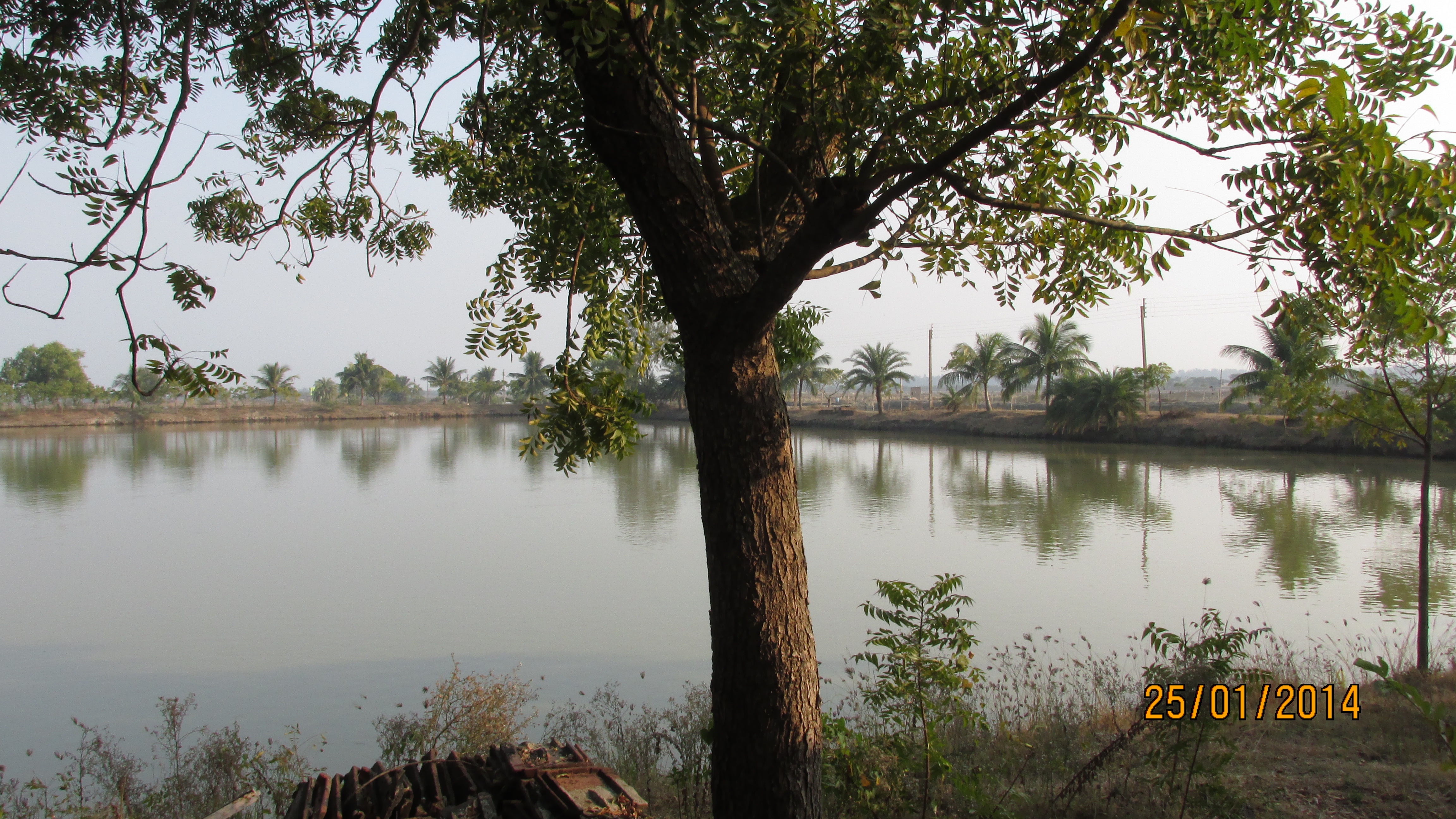 Eral near Bhalukimachan Forest, Purba Bardhaman